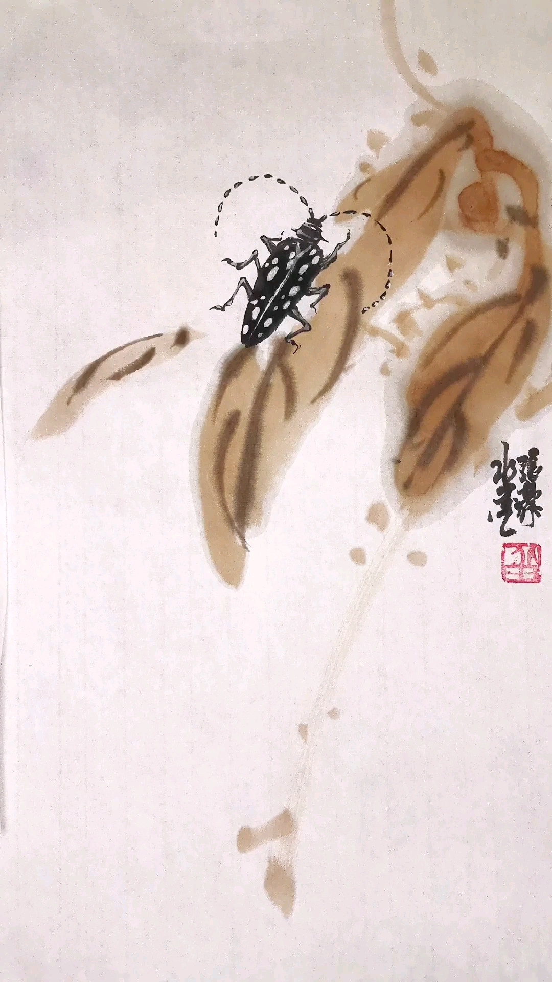 画只天牛