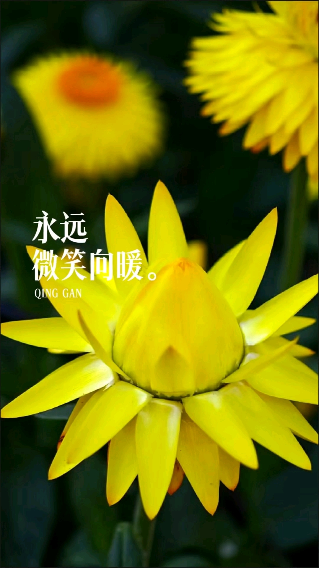 人生没有完美幸福没有满分!永远微笑向暖!