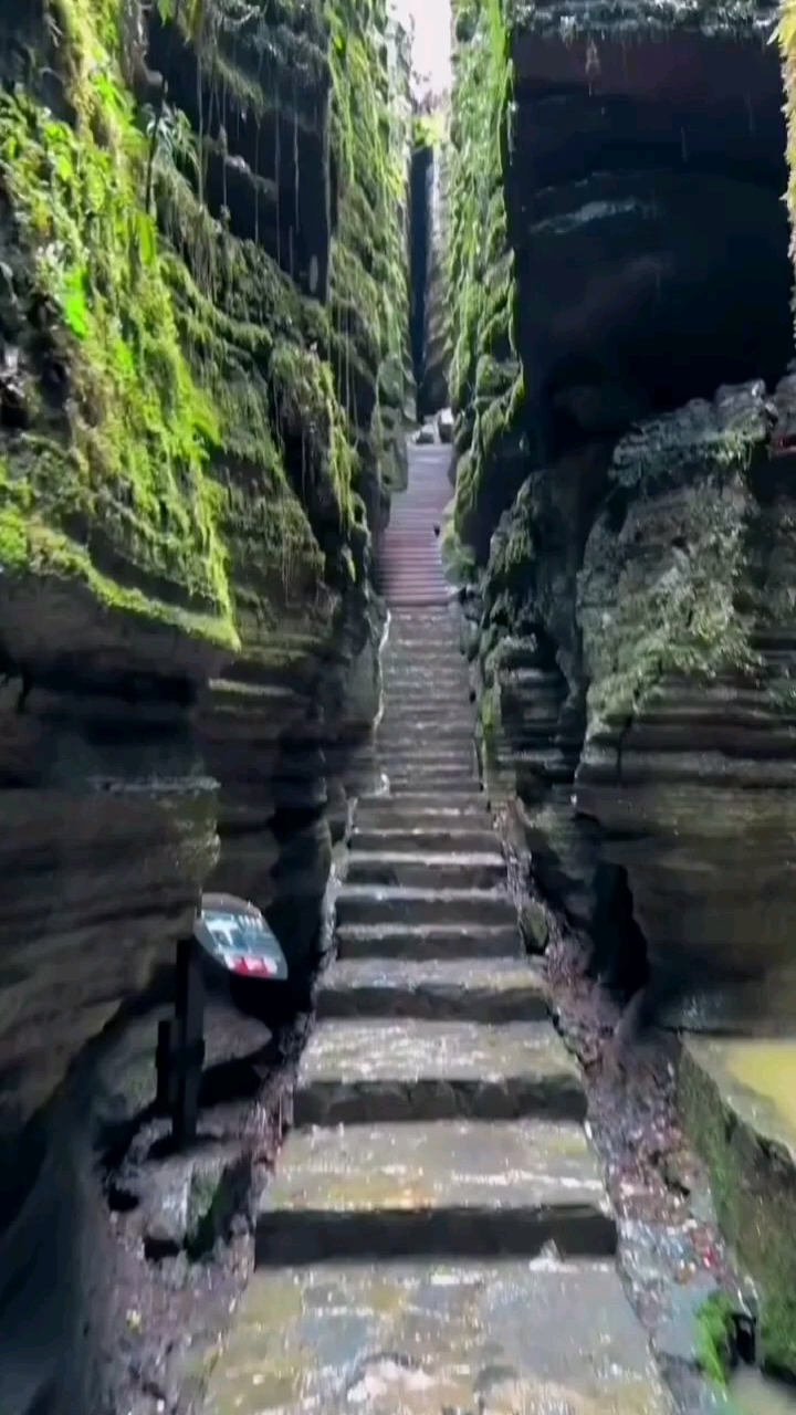 梭布垭石林  一价全含130  门票 景交 山海经