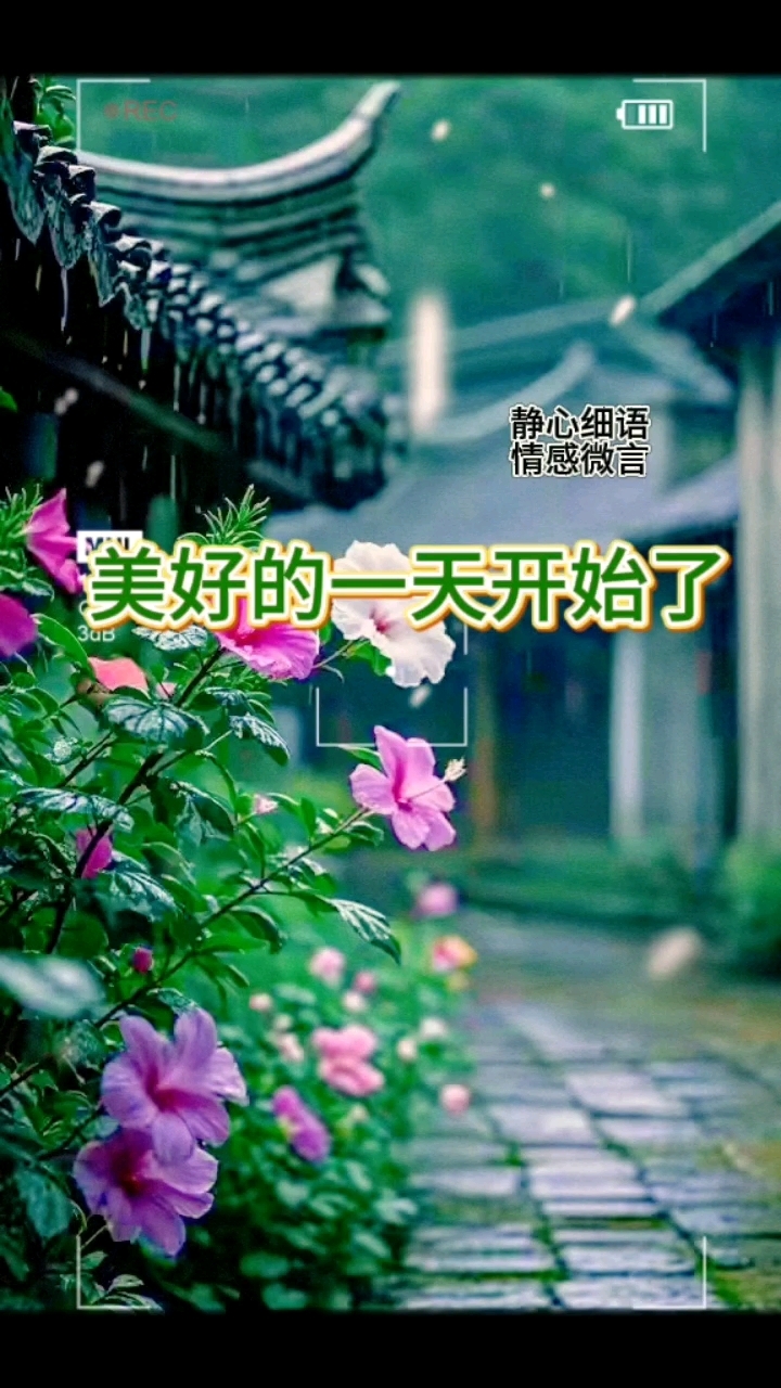 美好的一天开始了