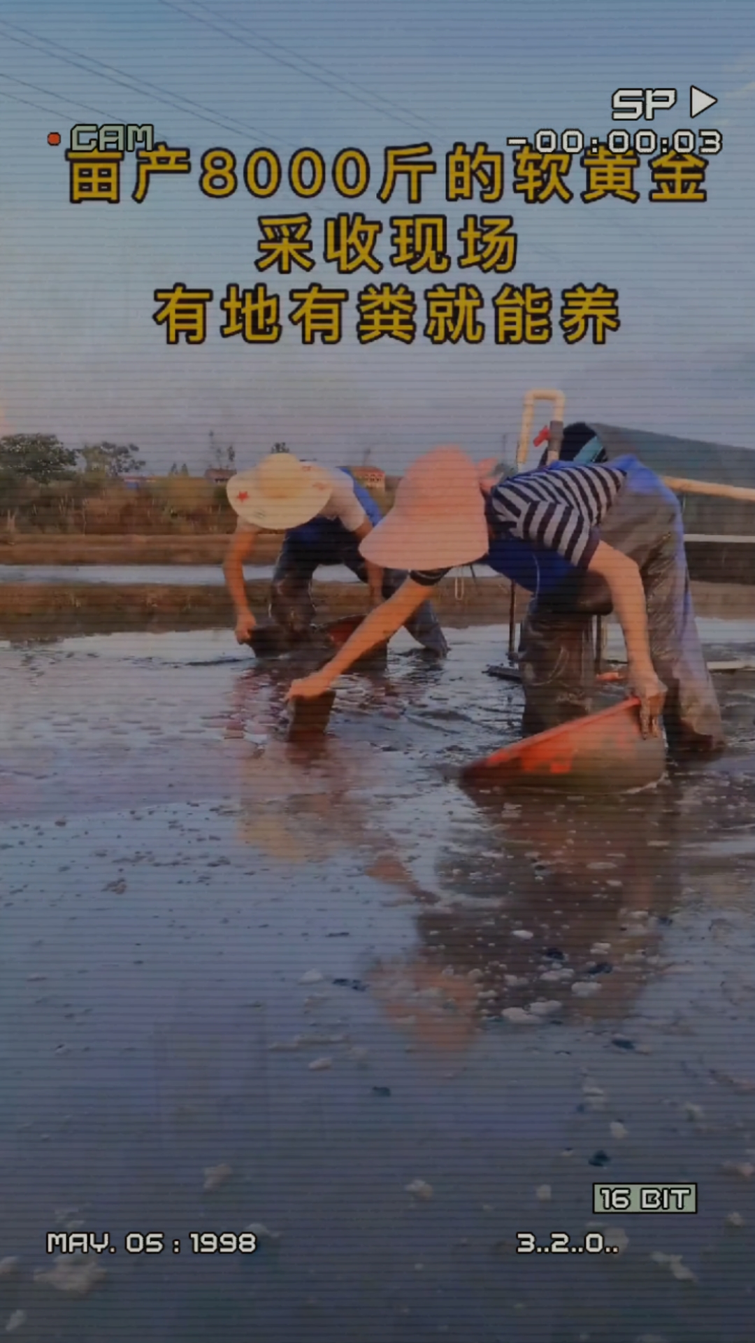 致富好项目有哪些(2020年致富好项目)