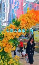周末的昆明呈贡七彩云南第一城，有新店开业好热闹
