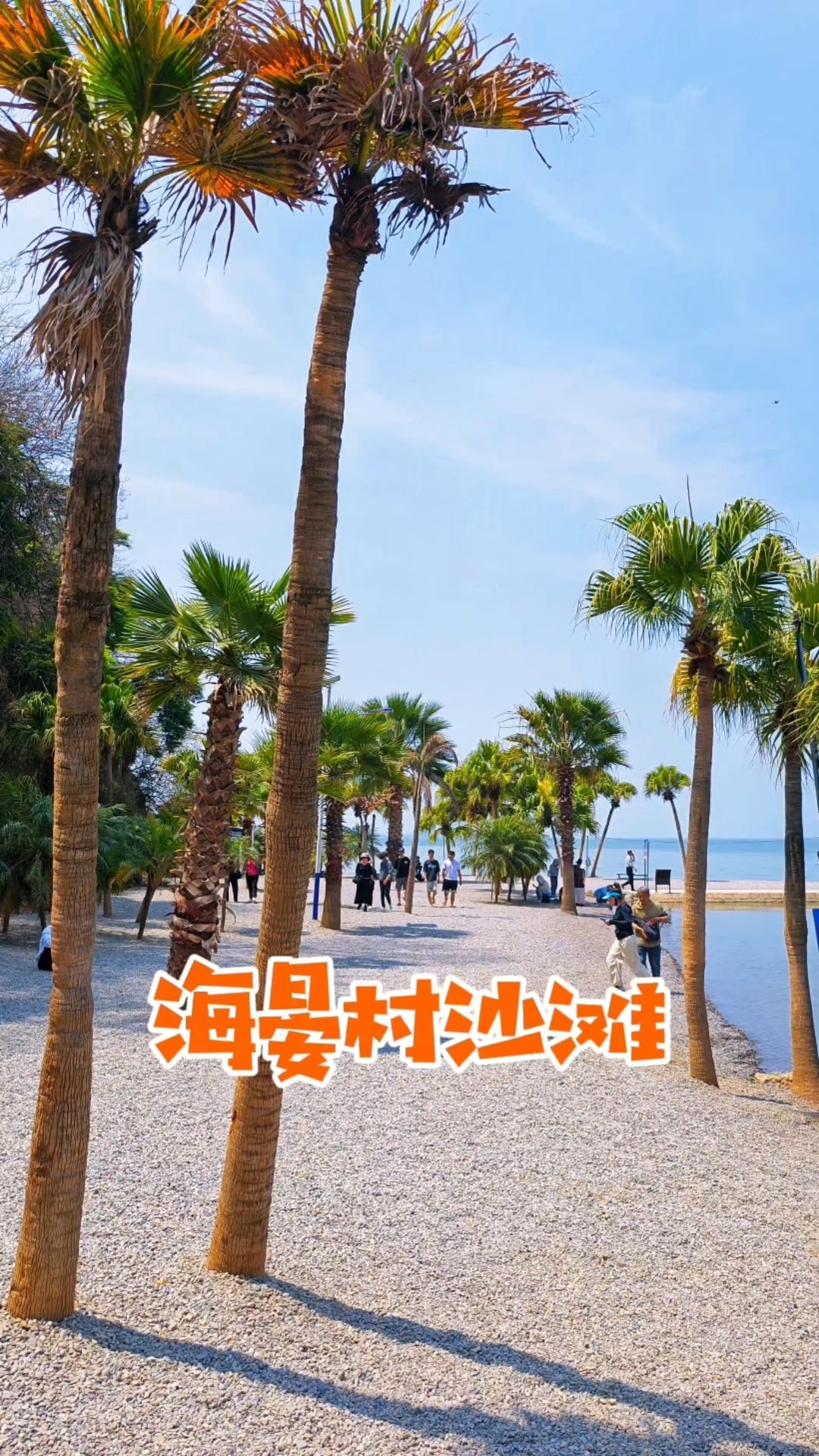 昆明呈贡海晏村的网红沙滩,确实有点热带海岛的既视感
