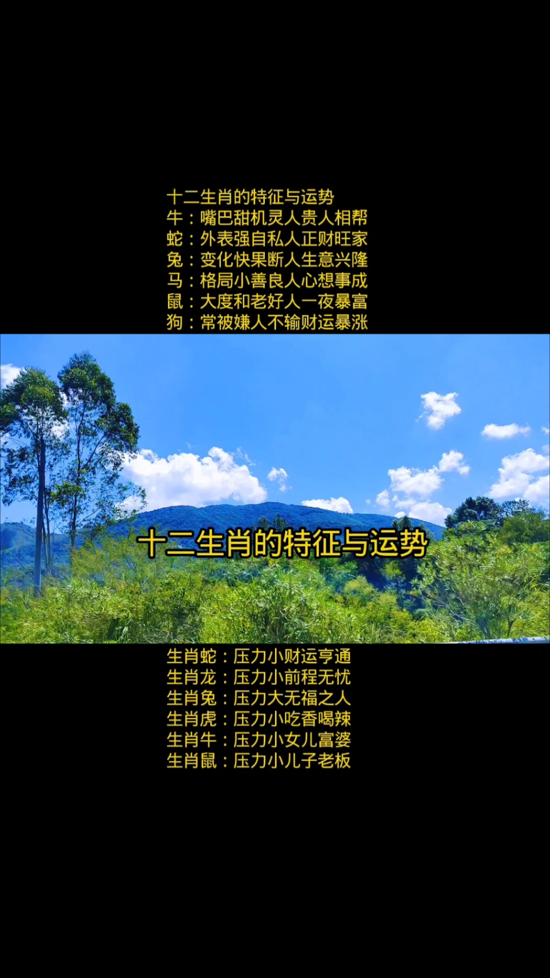 十二生肖与运势如何(十二生肖运势如何提升)