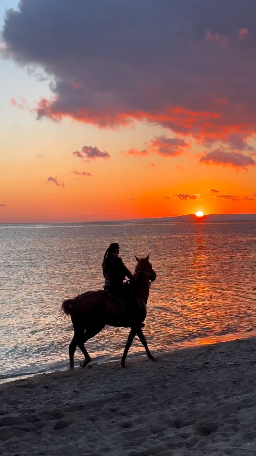 1080_1920竖版 竖屏