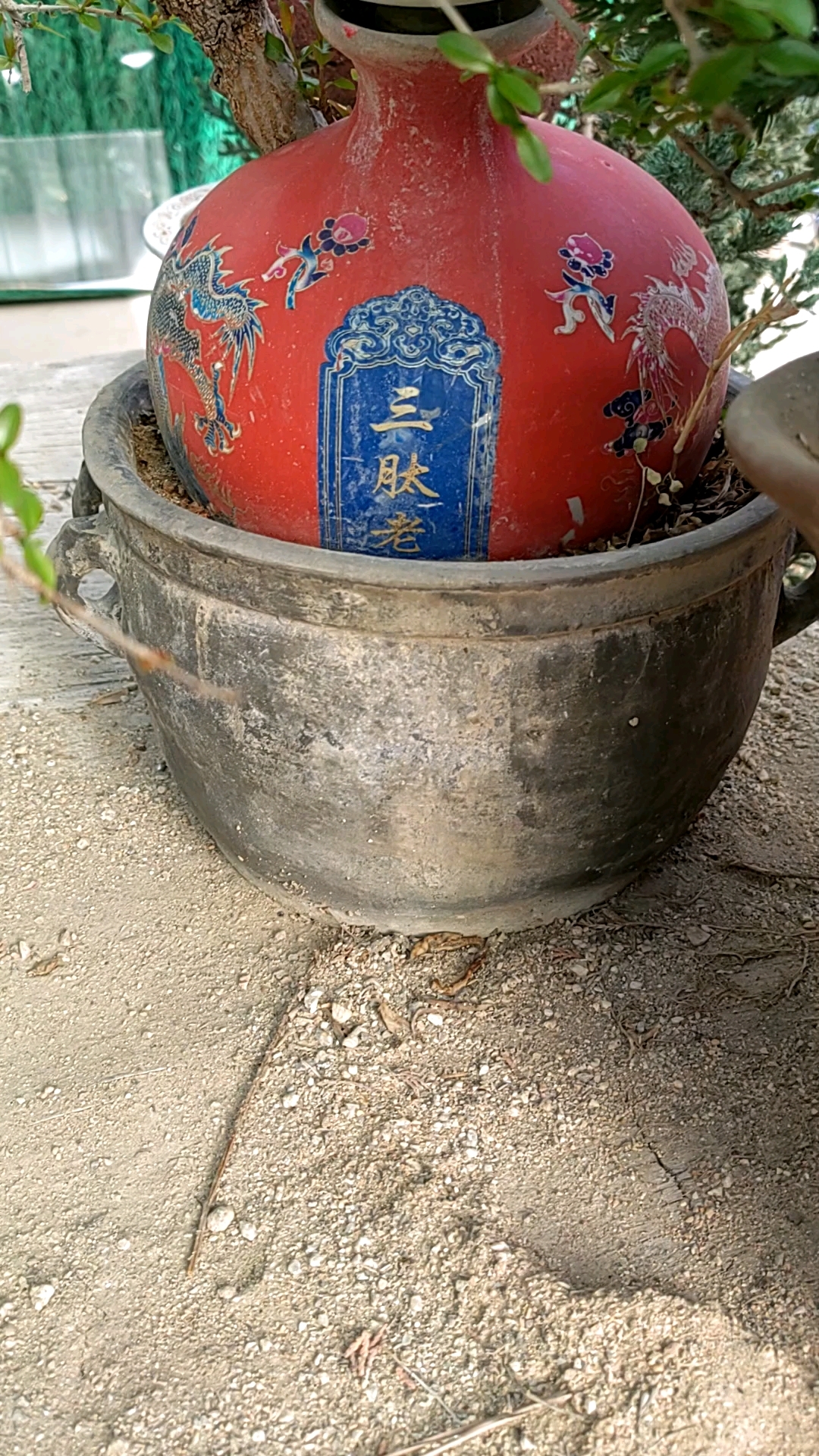 博物馆几百个尿罐子,给我一个就好了喽