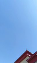 分享视频