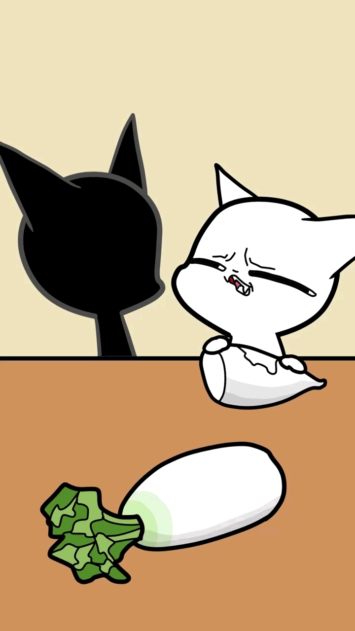 黑白双猫吃播cp妥妥的