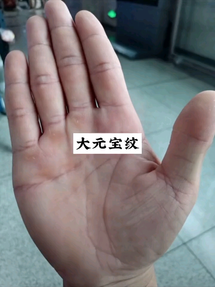 大元宝纹的手相!