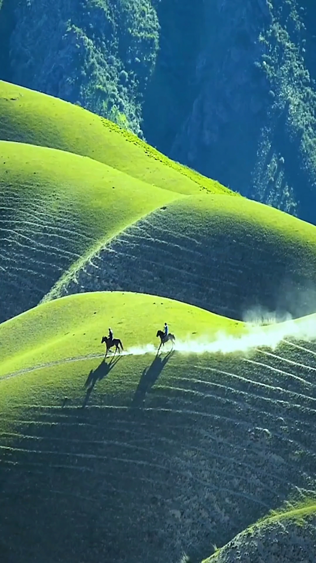 生活也就给你风景.有一种境界叫超然,有一种达观