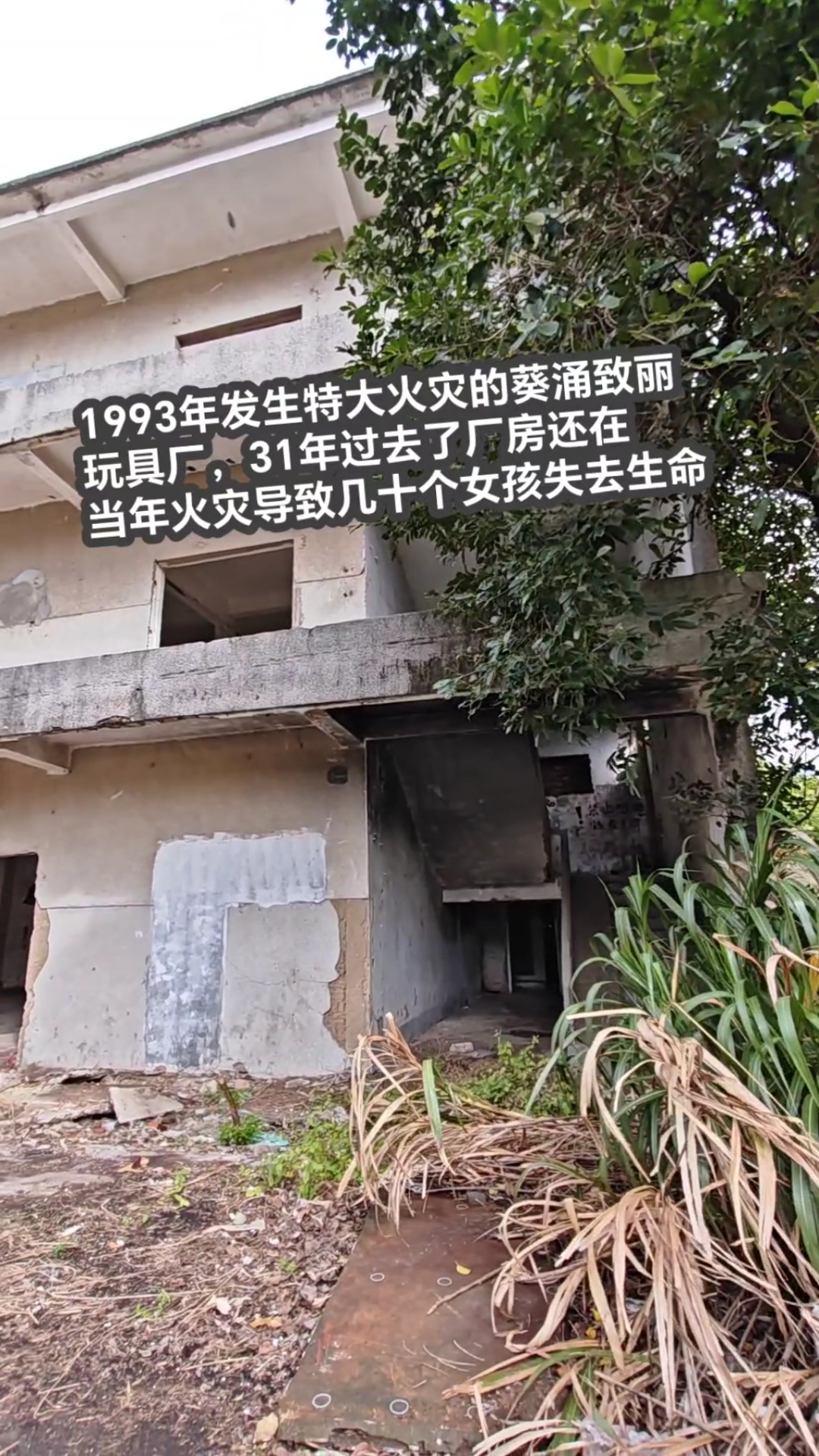 93年的深圳葵涌致丽玩具厂,31年前的火灾导致几十个女孩死亡