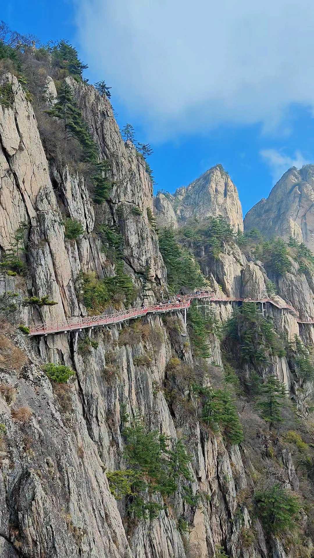 老君山风景图片大全图片