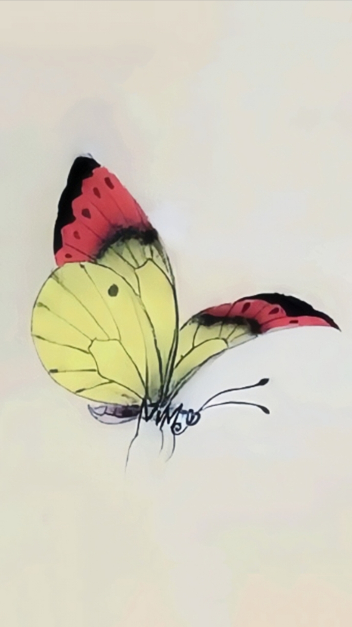 国画蝴蝶工笔画蝴蝶画法,跟着教程学画画,教你纯手绘工笔彩蝶