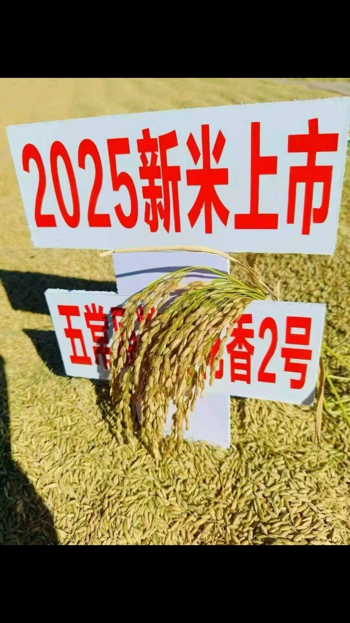 新米上市,全国发货