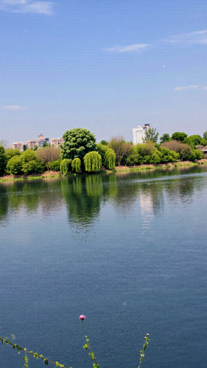 大美郑州清明时节赏花踏青好时光,碧水蓝天大自然美景风光如画