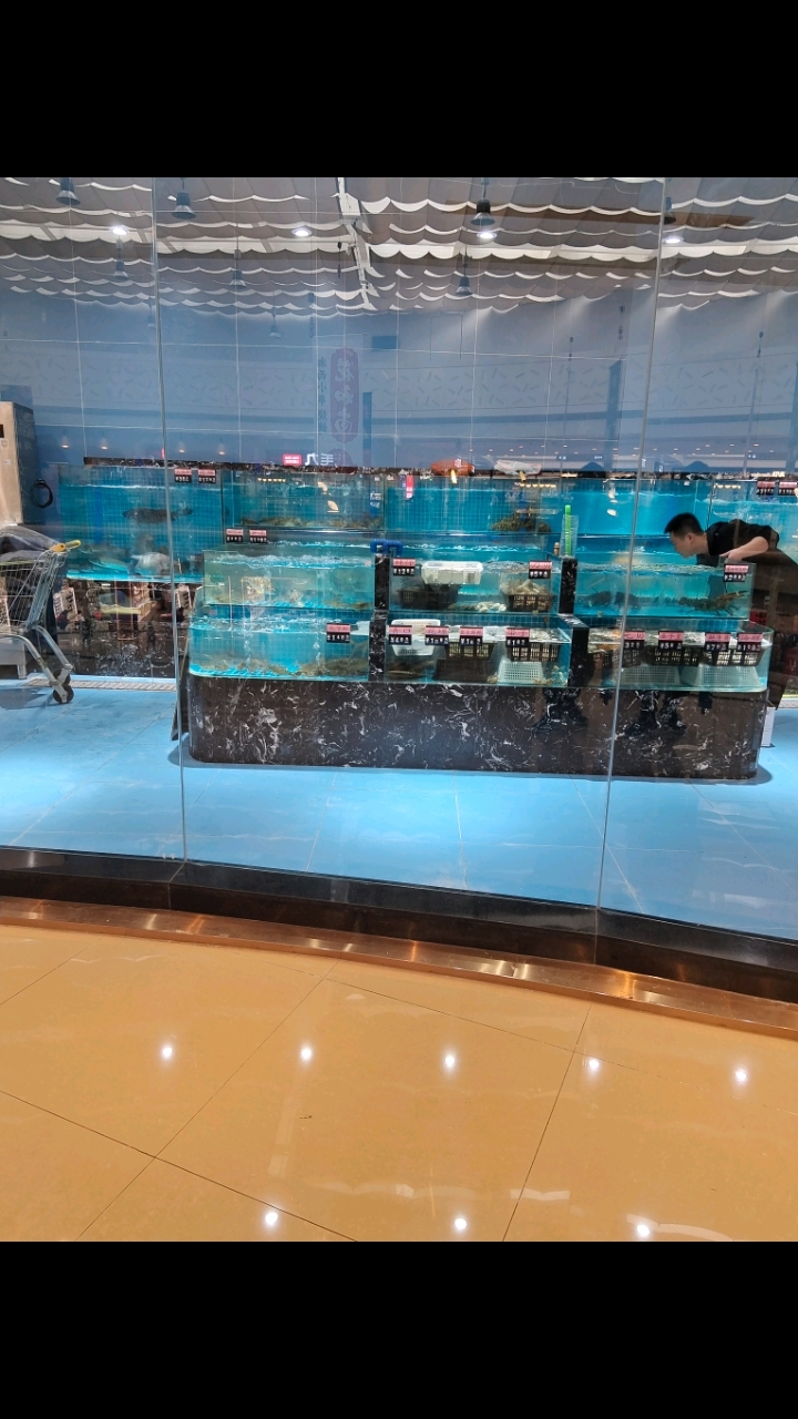 专业海鲜鱼缸公司,定制海鲜池厂家