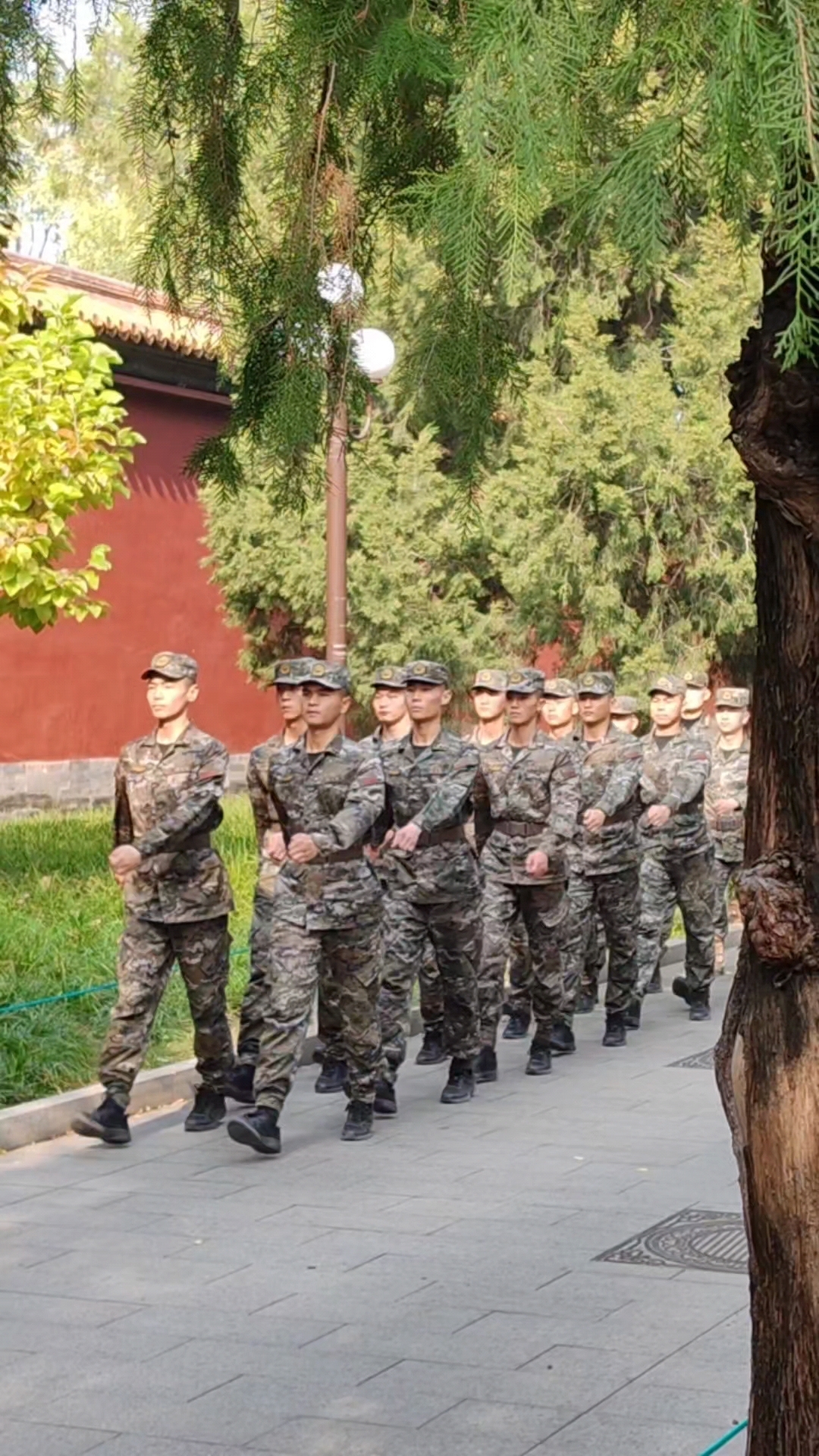 北山兵哥的照片图片