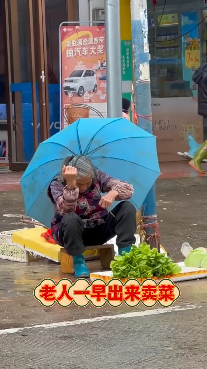 老人一早出来卖菜