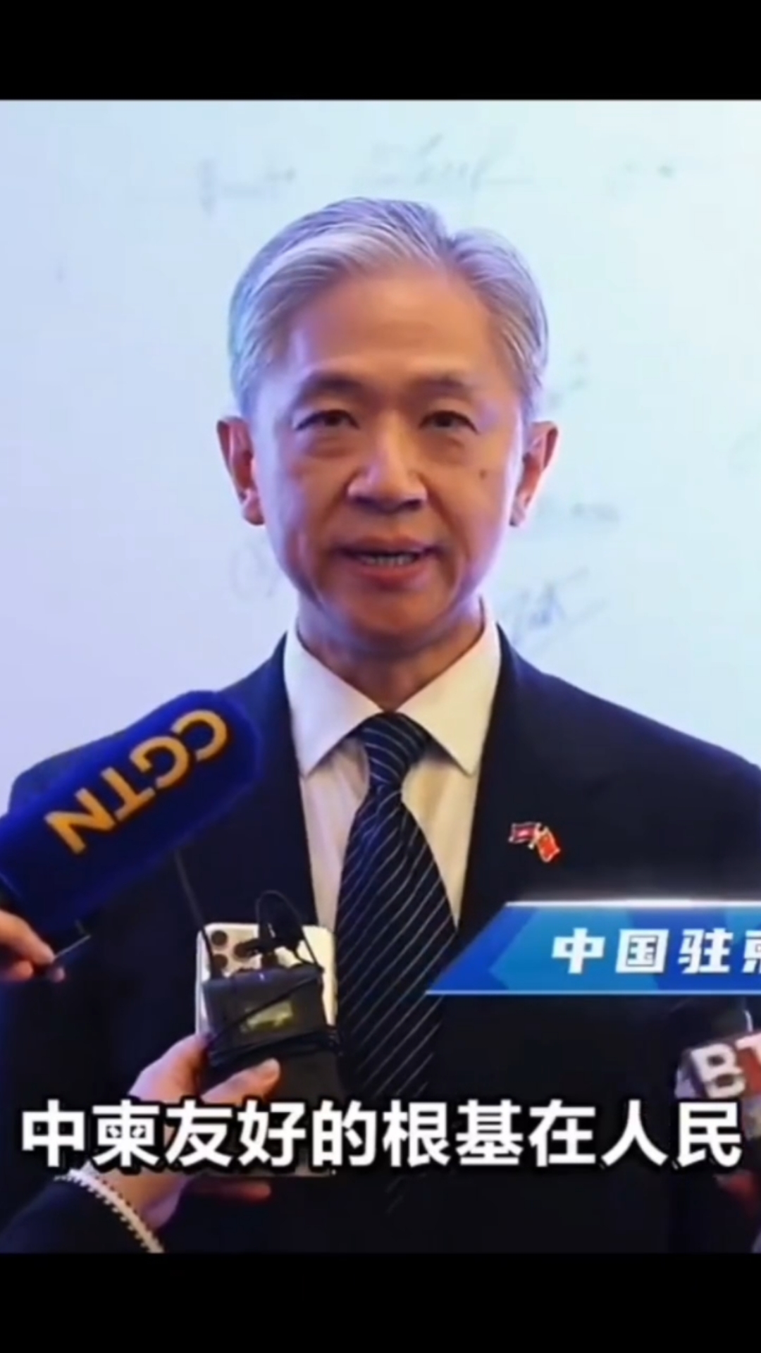 帅帅的王文斌外交官