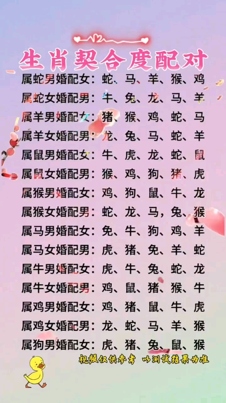 十二生肖婚配运势详解(十二生肖婚配大全 姻缘)