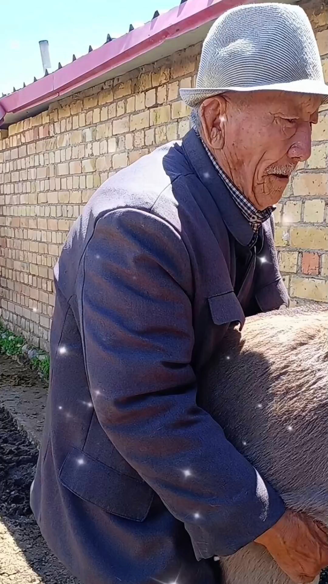 夕阳帅老的幸福生活