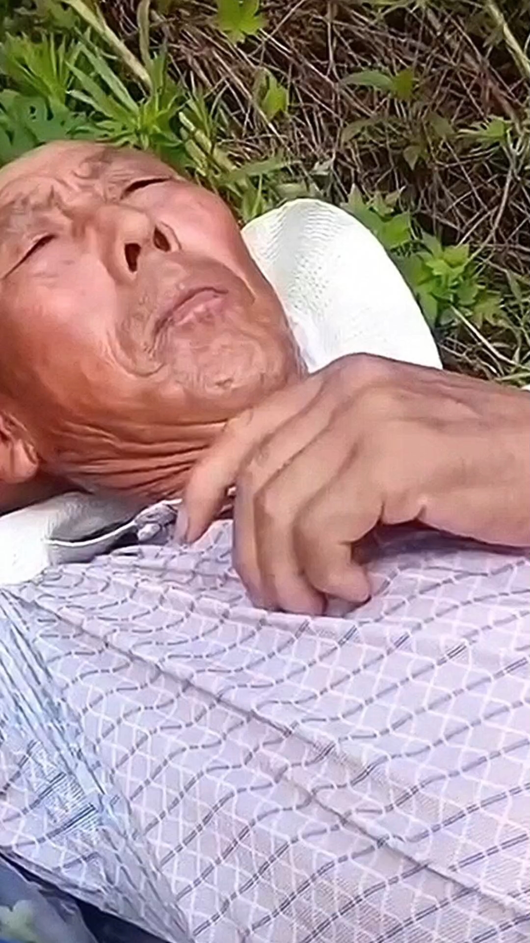 夕阳帅老的幸福生活