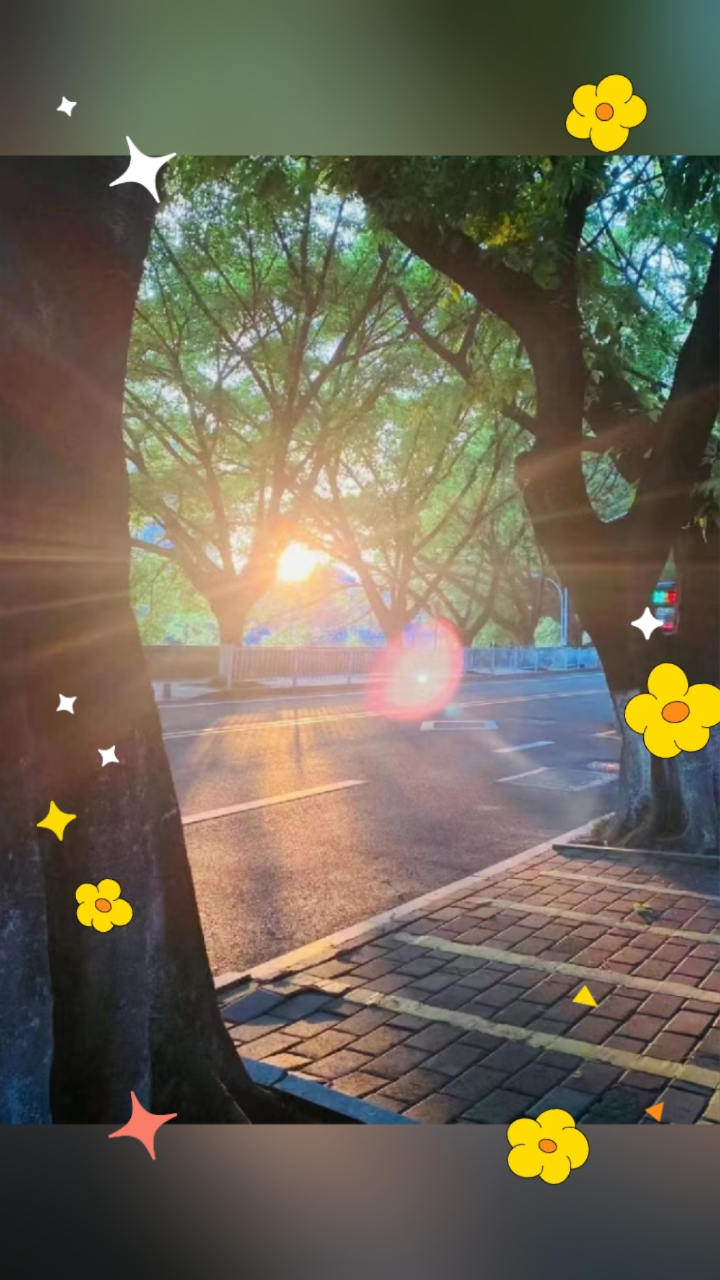 清晨温暖的阳光,伴随徐徐微风