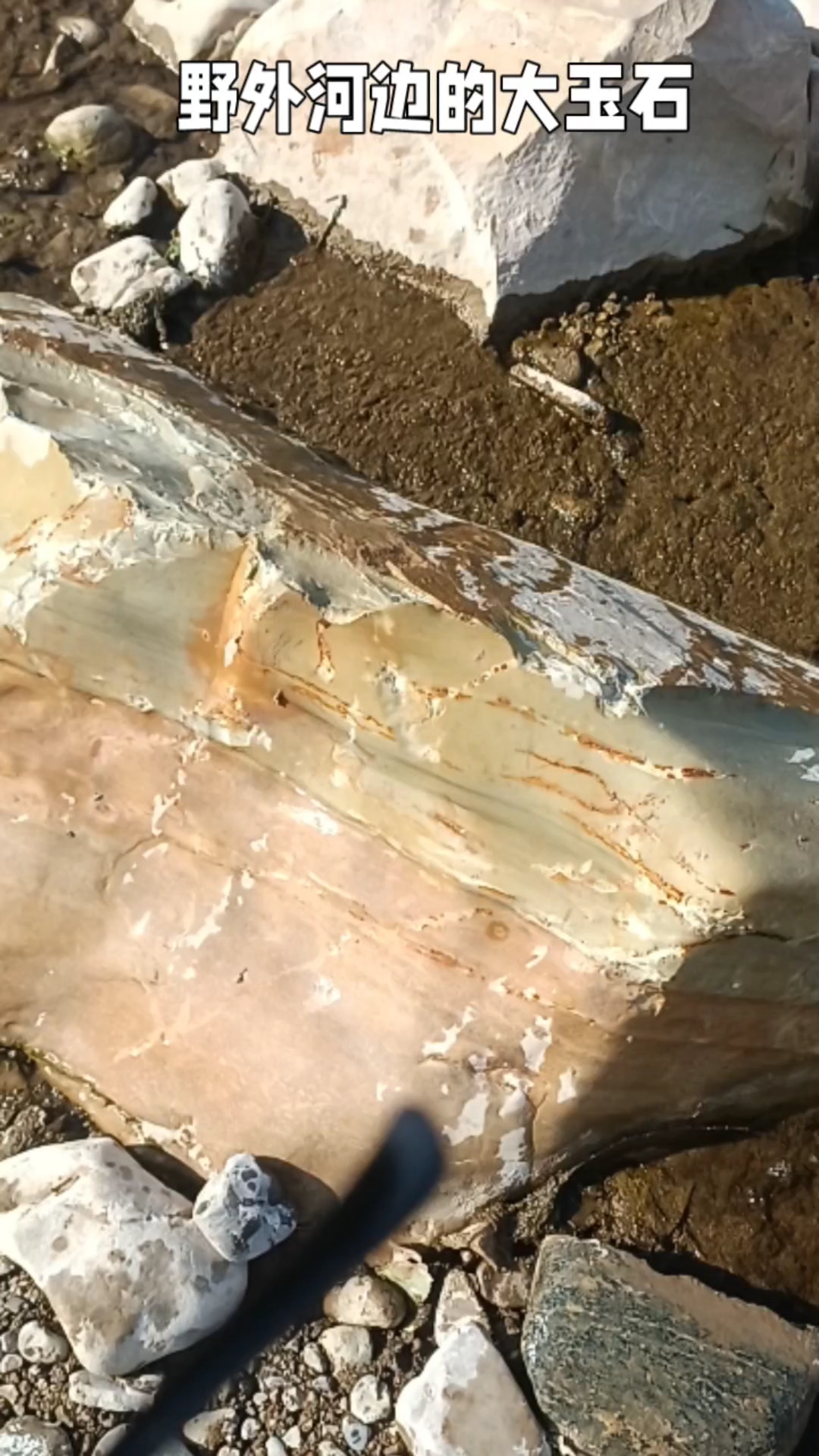 在野外河边见到的一块大玉石