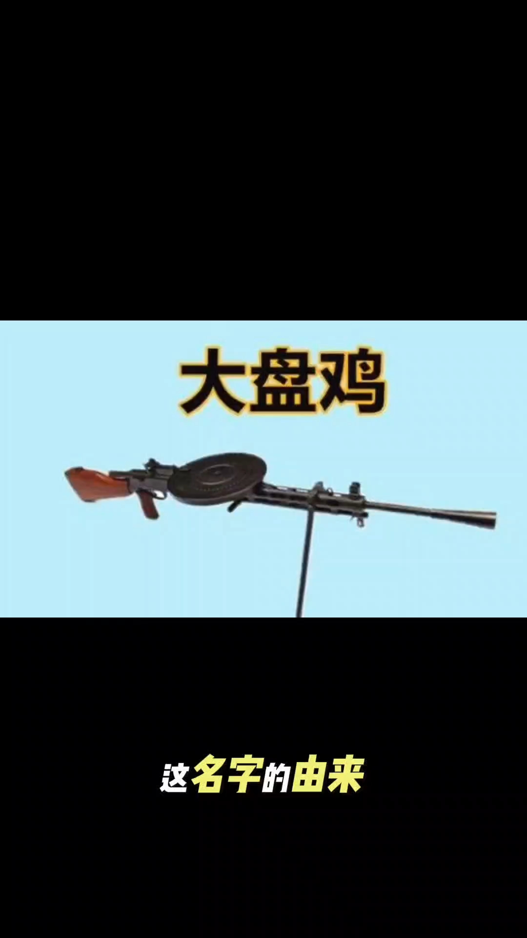 大盘鸡是什么枪