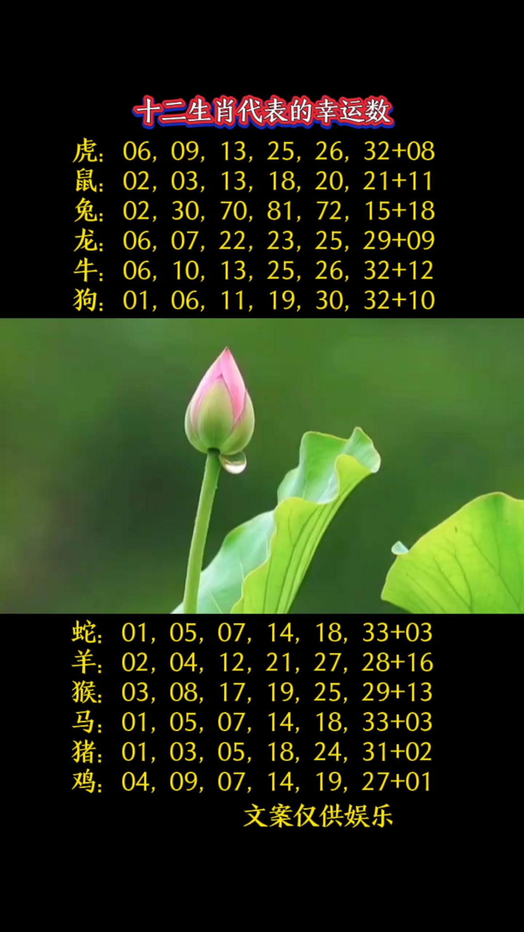 生肖视频猜测运势最准(生肖问答)