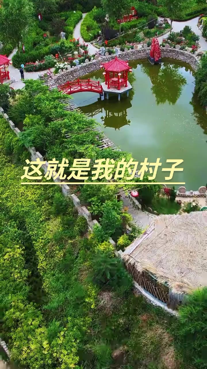 新阳镇胡大村图片