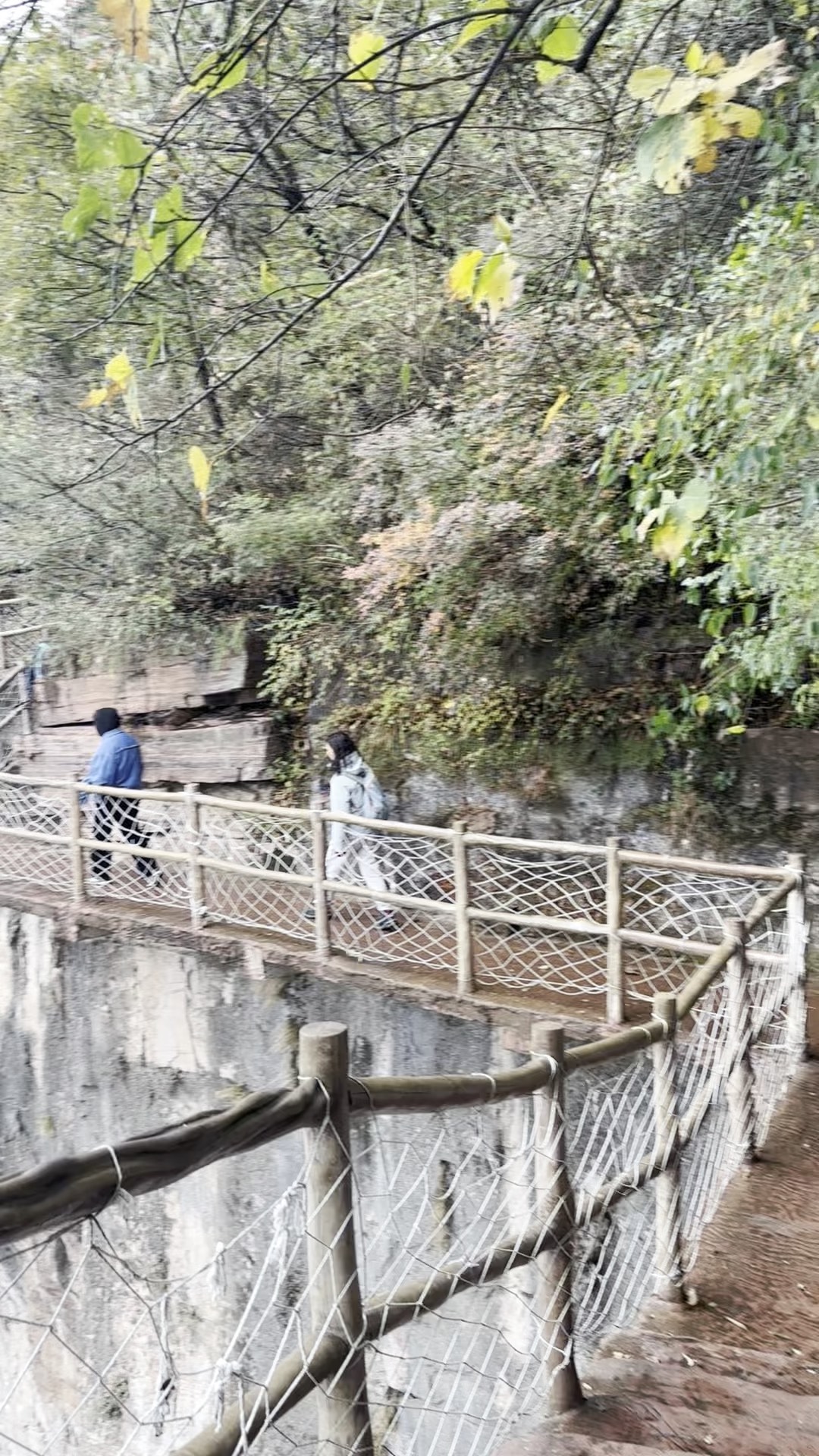 八里河风景区玻璃栈道图片