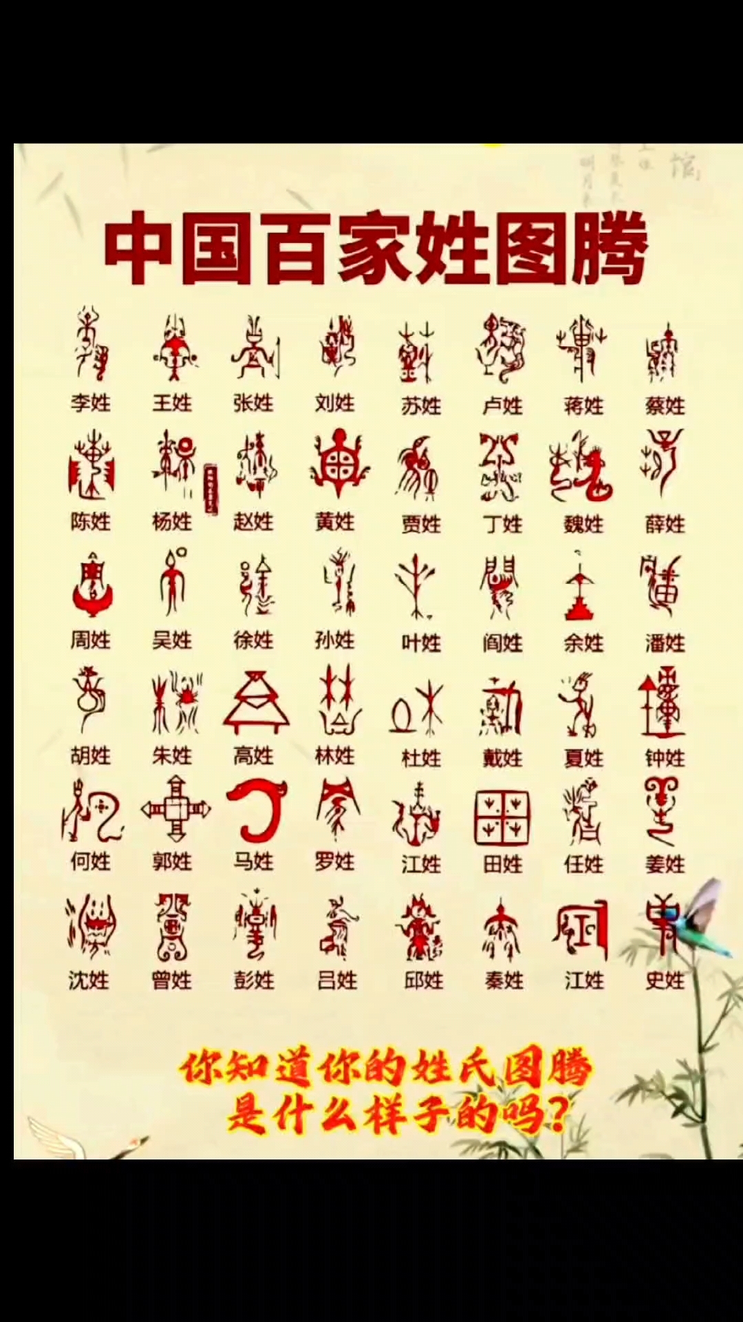 每一个姓氏都有一个属于自已的图腾-度小视