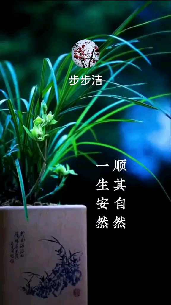 顺其自然,一生安然.