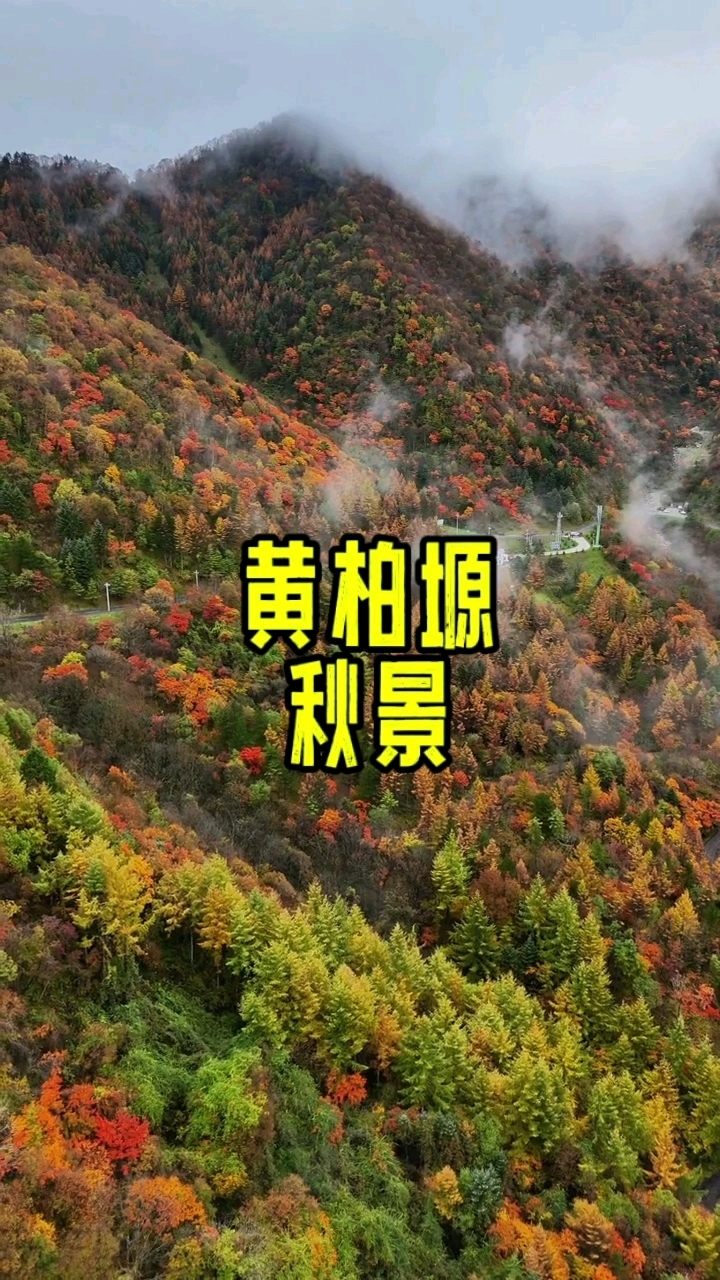 秋天的黄柏塬太洋公路美景.秋天好美啊
