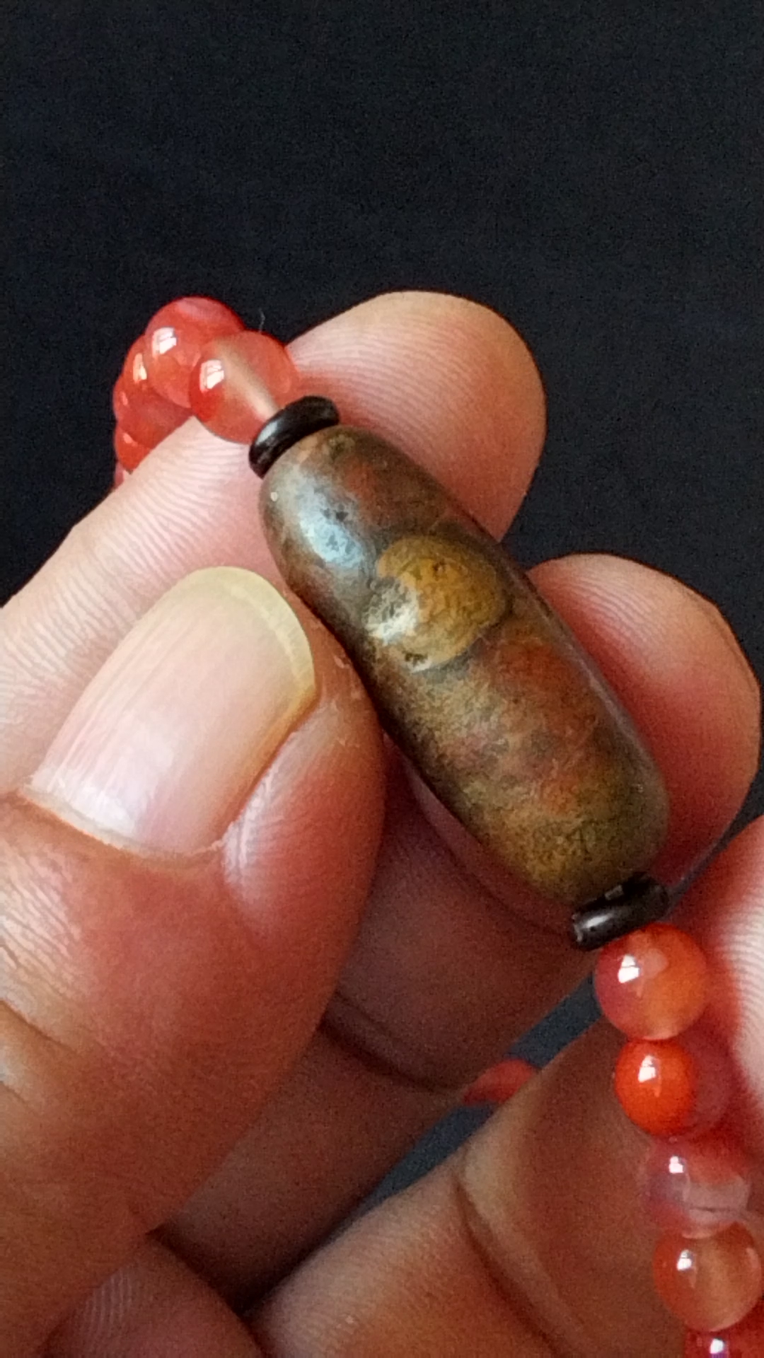 藏传法螺化石天眼珠