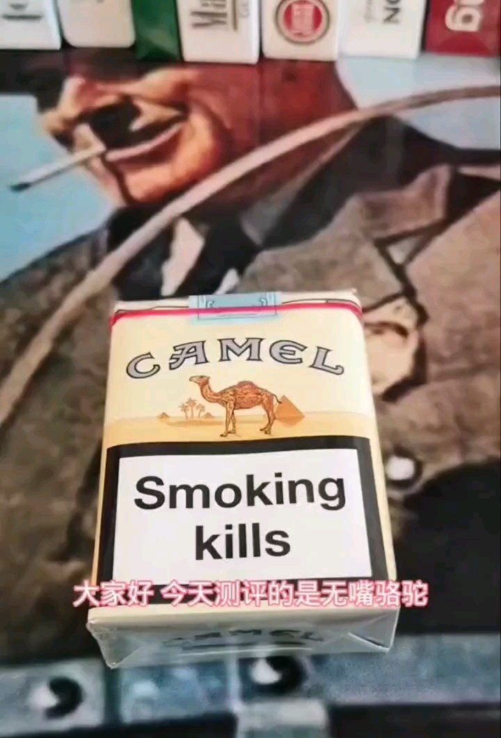 今日分享美式无嘴骆驼