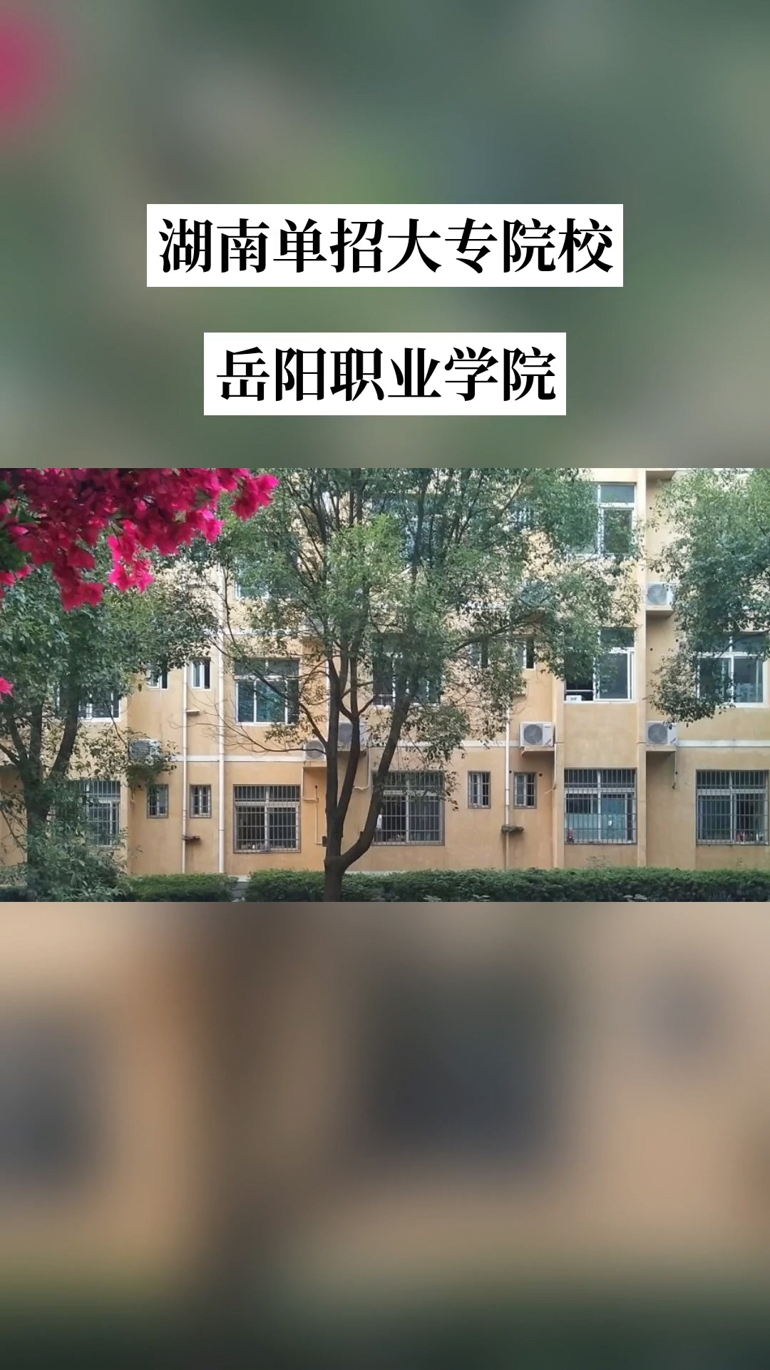 湖南单独招生院校 岳阳职业技术学院是全日制公办普通高等院校