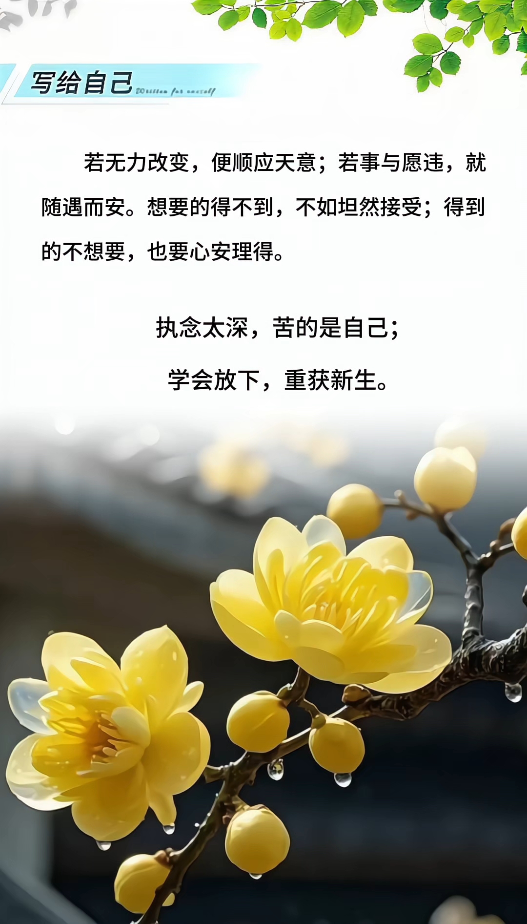 《人生两境界:顺其自然,随遇而安》