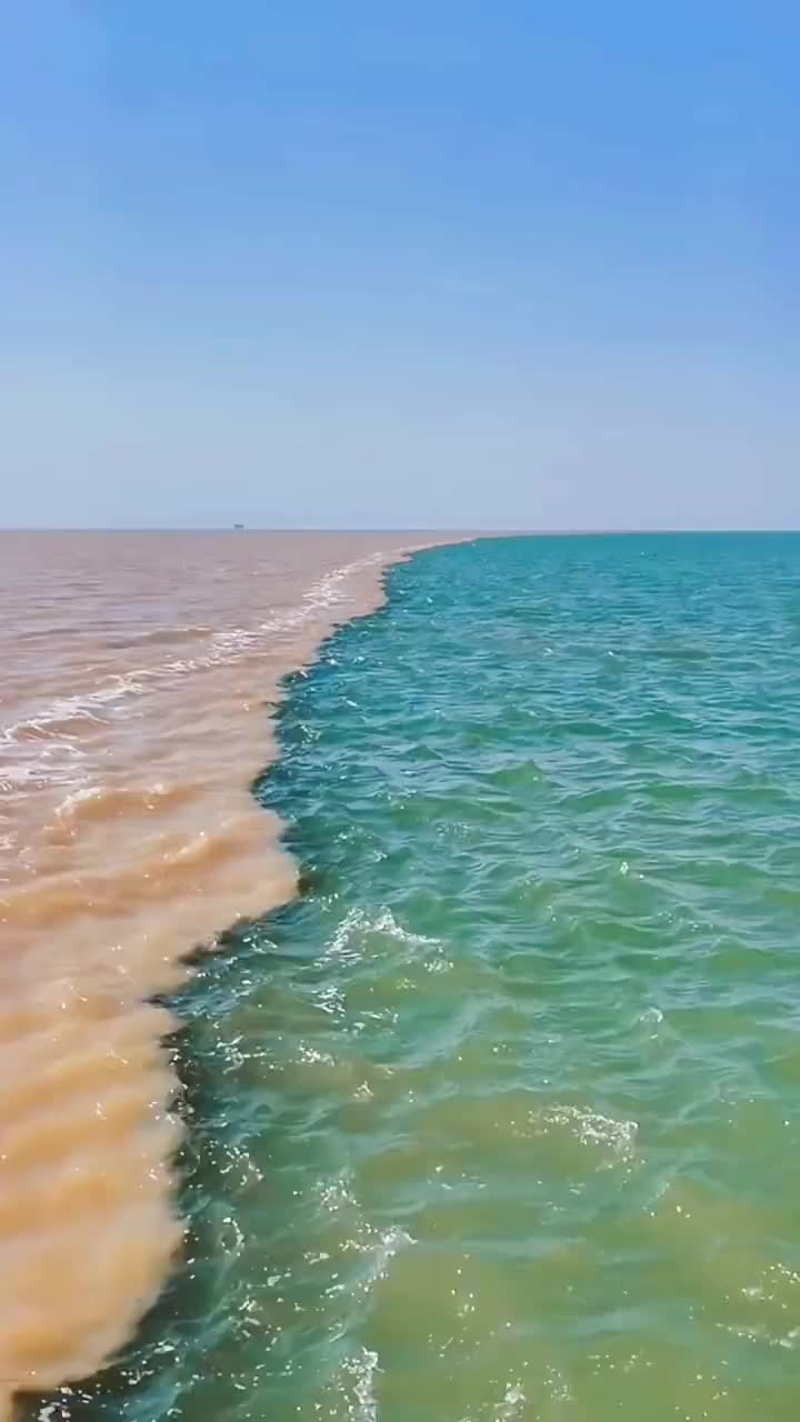 东营,黄河入海口,"黄蓝交汇"世界奇观