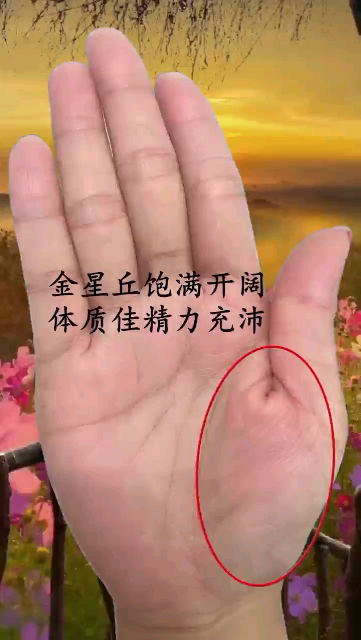 金星丘饱满开阔,体质佳精力充沛