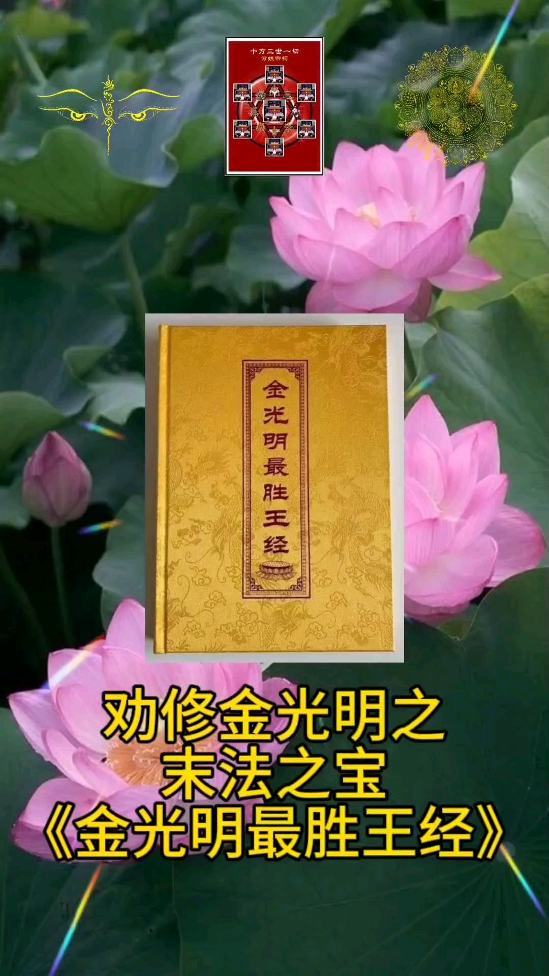 末法之宝《金光明最胜王经》