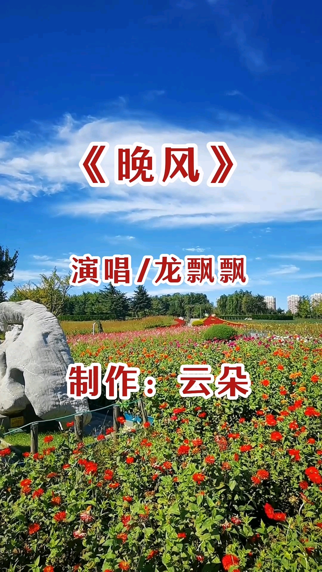 龙飘飘演唱经典歌曲《晚风》