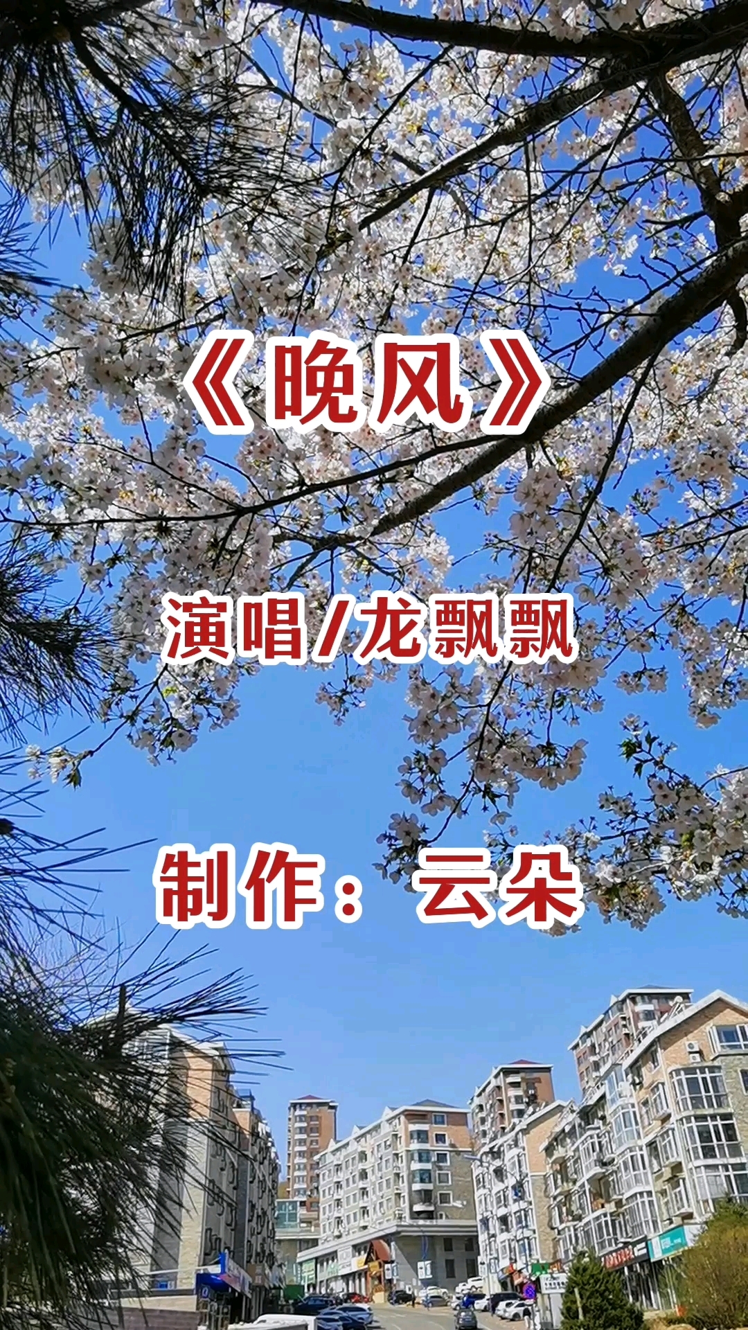 龙飘飘演唱经典歌曲《晚风》