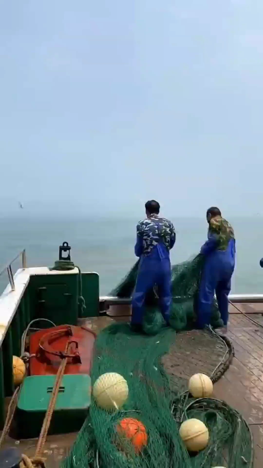 舟山出海捕鱼,完整呈现捕捞过程展示,揭秘海洋渔获的诞生之旅
