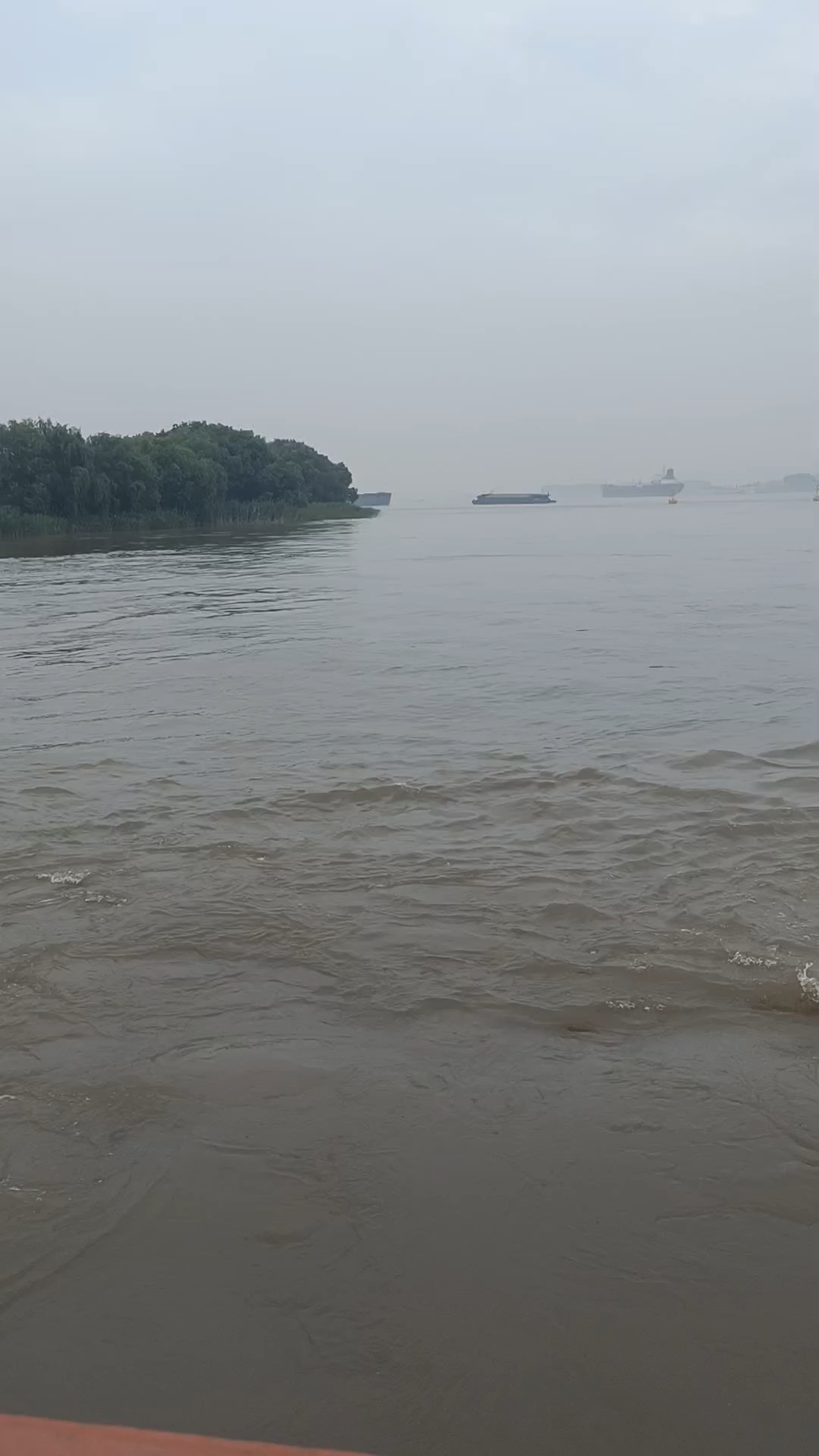 长江水质不错,水底有大鱼.