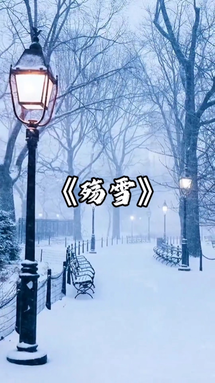 一首《殇雪》太好听了