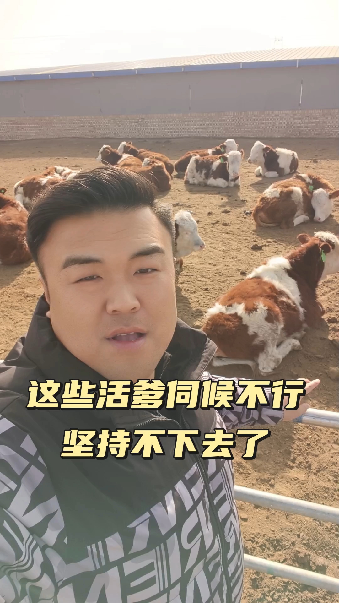 致富经养牛视频2021全集视频的简单介绍