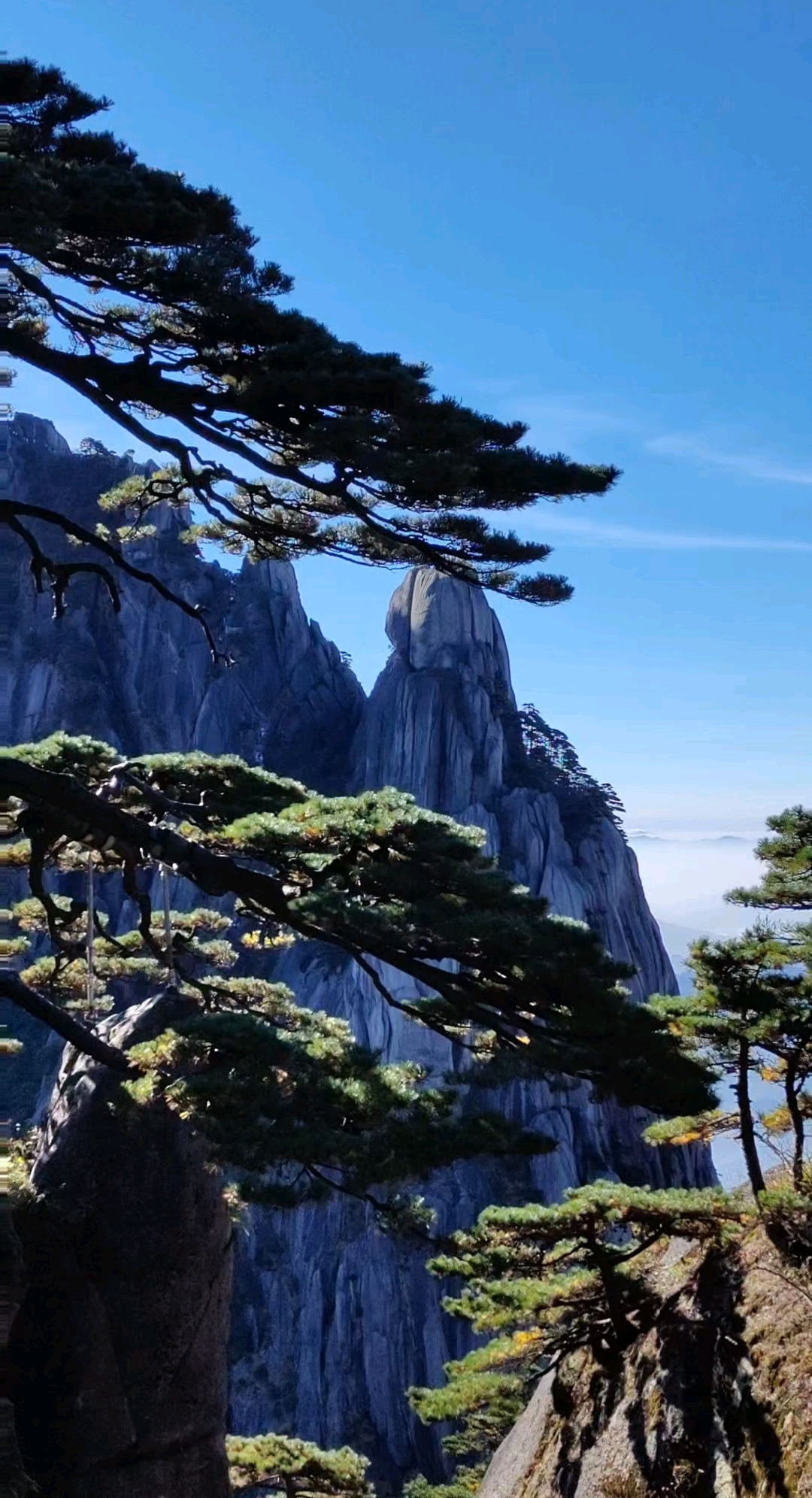 今日~黄山迎客松