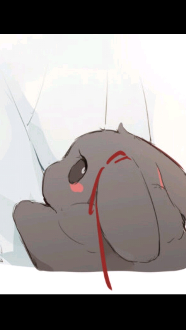 兔子版的忘羡太可爱了